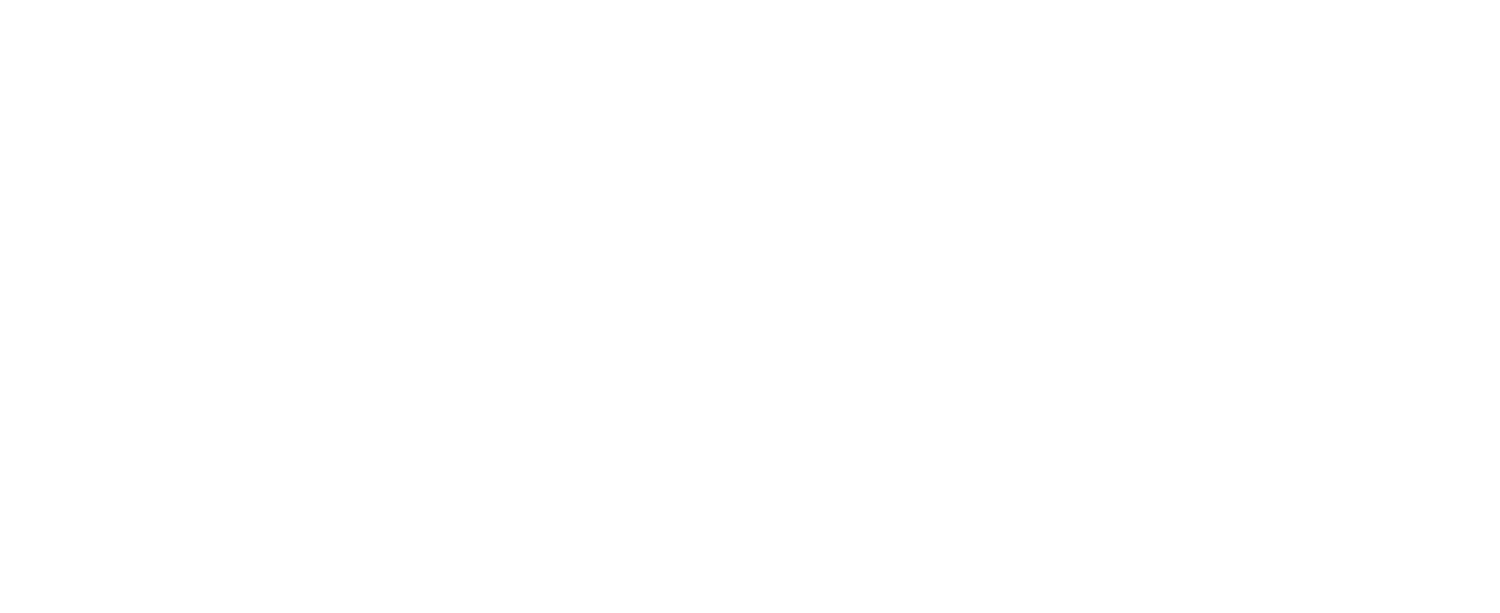 ExoClick logo